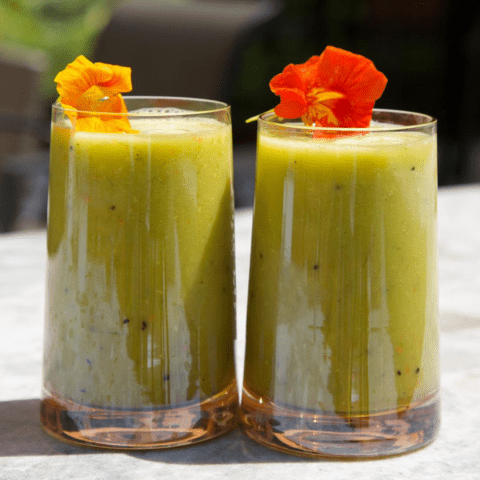 Summer Tropical Smoothie – Beast Health Canada