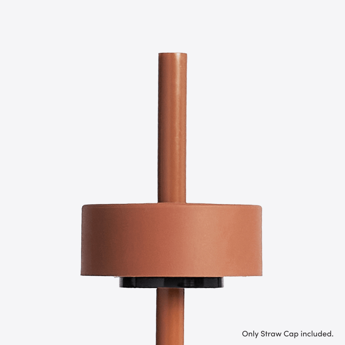 Straw Cap | Terra
